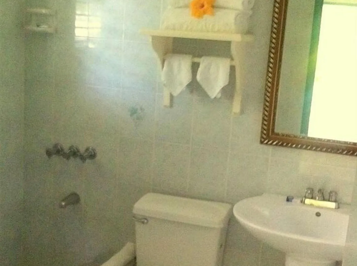 Coral Seas Garden Resort Negril 3*,