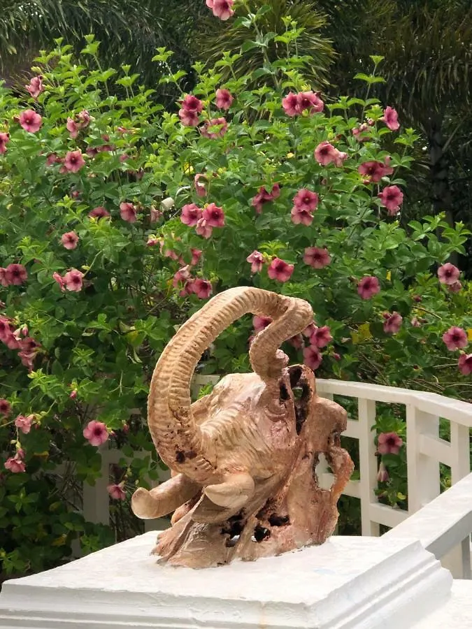 Coral Seas Garden Resort Negril